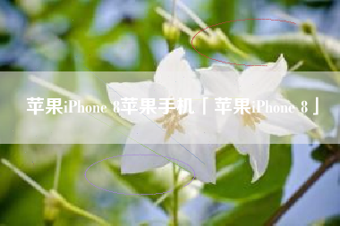 苹果iPhone 8苹果手机「苹果iPhone 8」