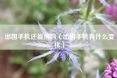 出国手机还能用吗（出国手机有什么变化）